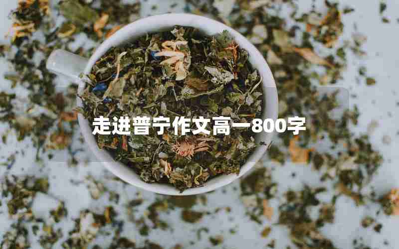 走进普宁作文高一800字