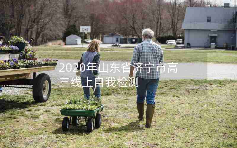 2020年山东省济宁市高三线上自我检测