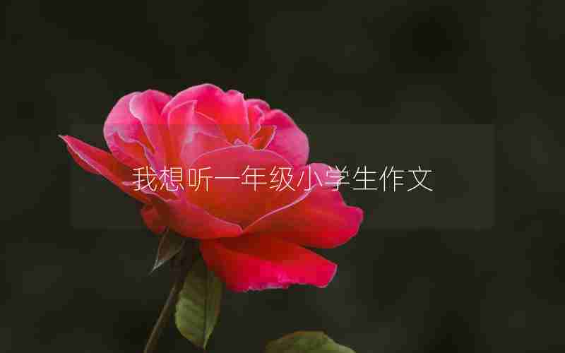 我想听一年级小学生作文