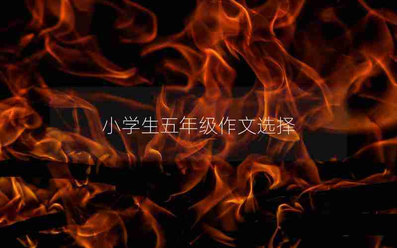 小学生五年级作文选择