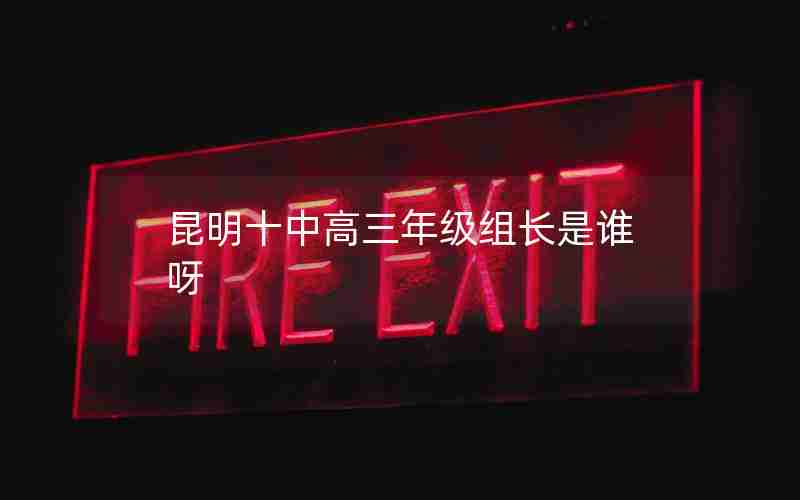 昆明十中高三年级组长是谁呀