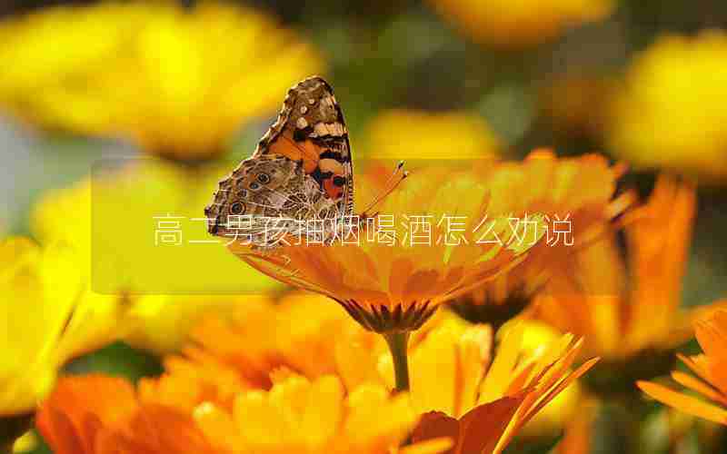 高二男孩抽烟喝酒怎么劝说