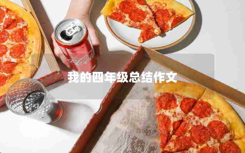 我的四年级总结作文