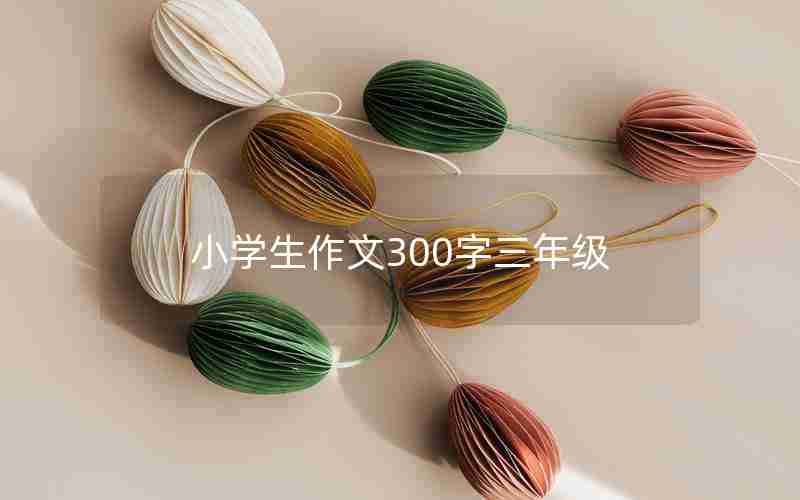 小学生作文300字三年级