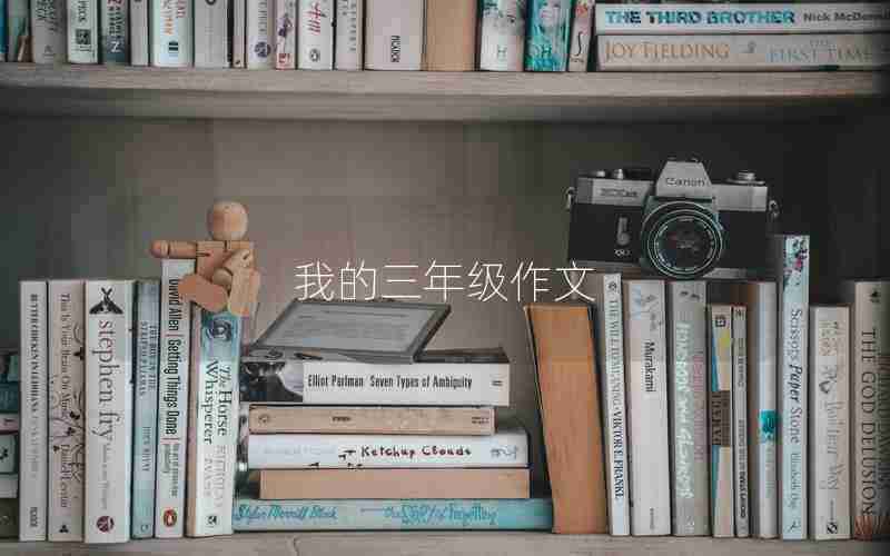 我的三年级作文