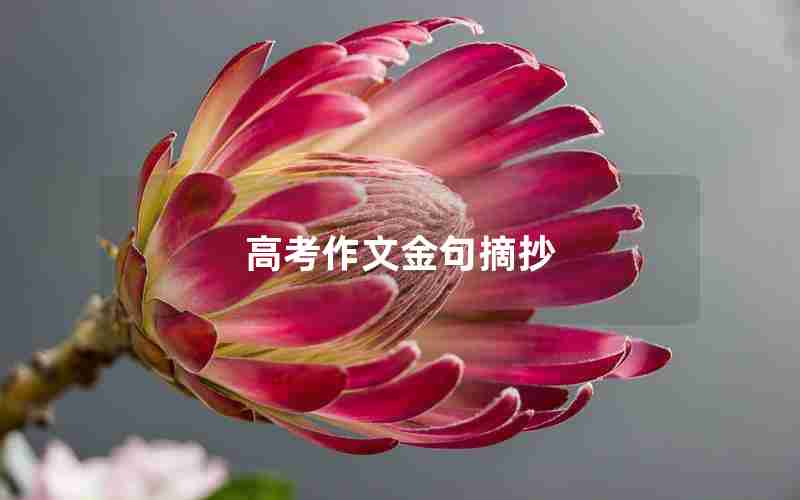 高考作文金句摘抄