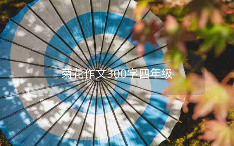 菊花作文300字四年级
