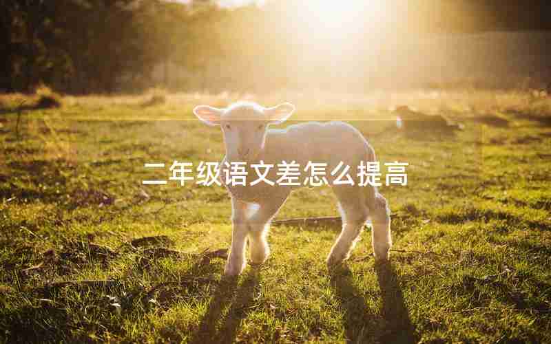 二年级语文差怎么提高