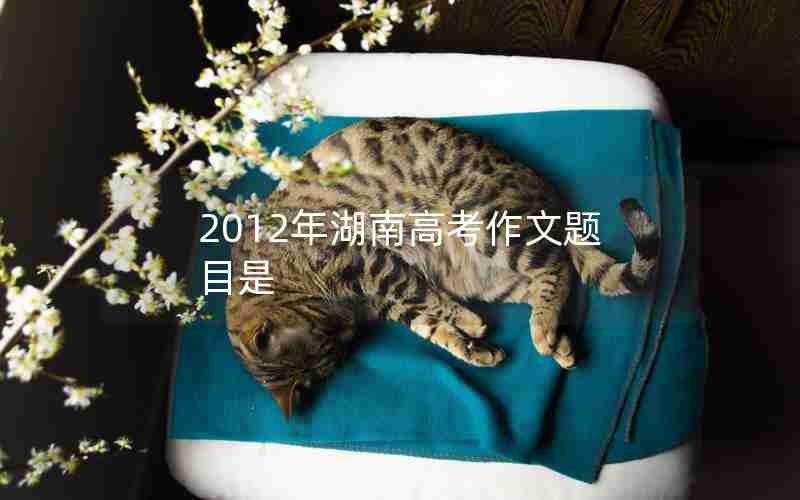 2012年湖南高考作文题目是