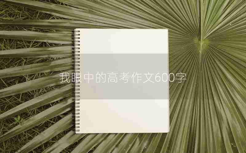 我眼中的高考作文600字