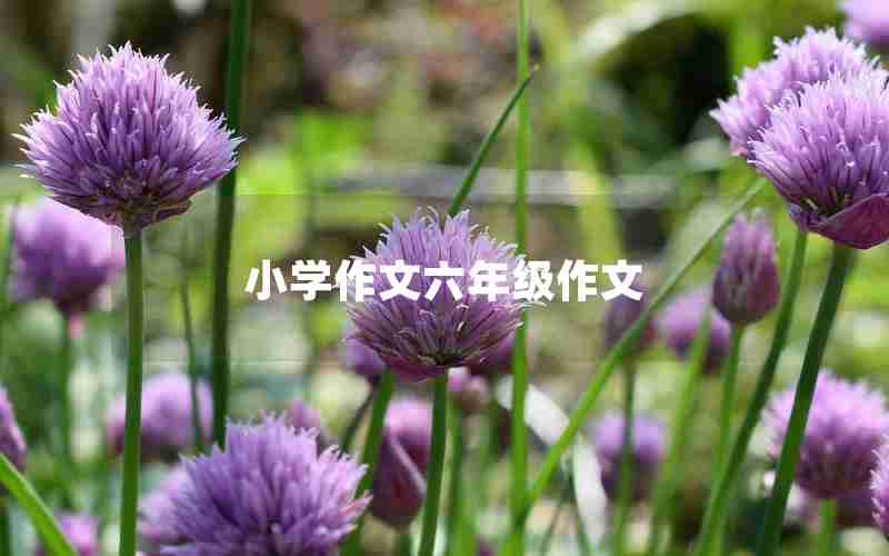 小学作文六年级作文