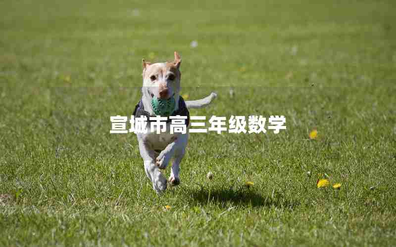 宣城市高三年级数学