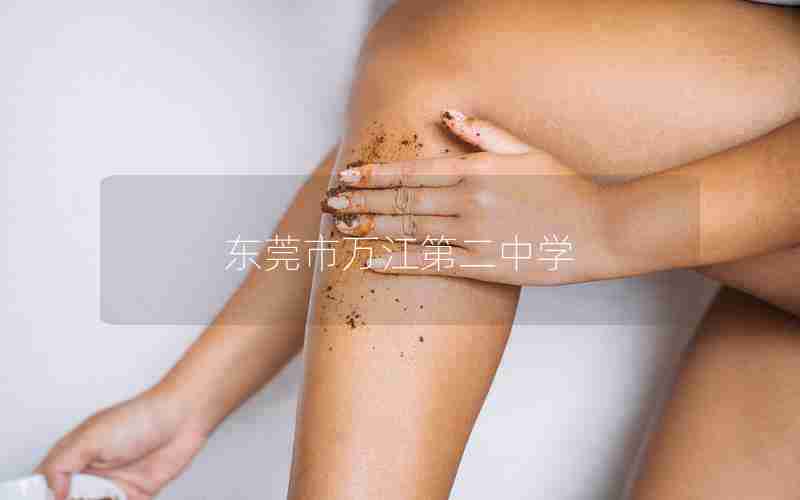 东莞市万江第二中学