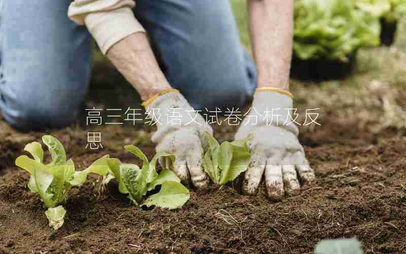 高三年级语文试卷分析及反思