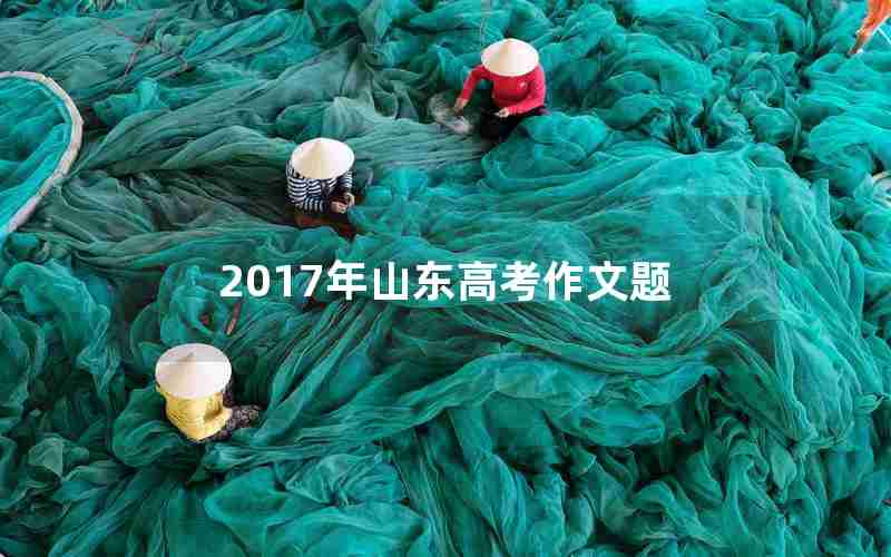2017年山东高考作文题