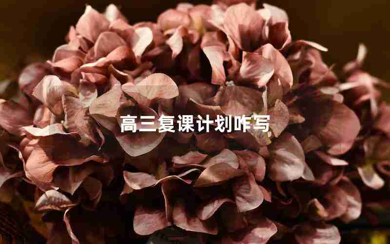 高三复课计划咋写