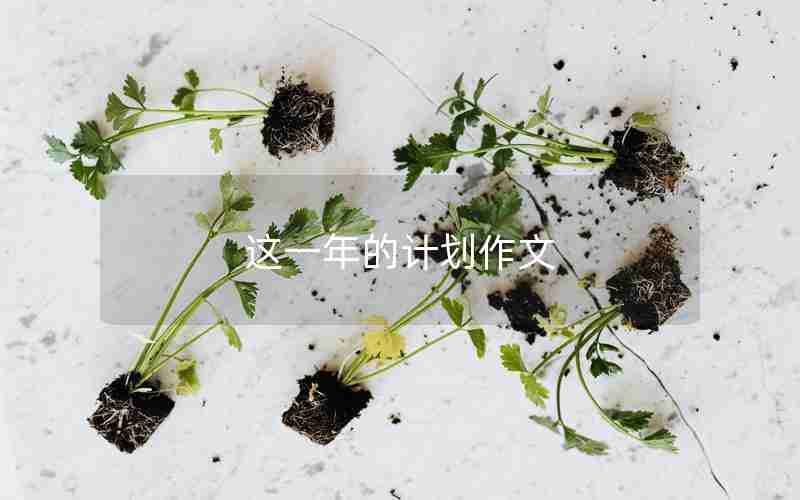 这一年的计划作文