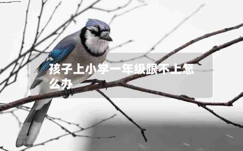 孩子上小学一年级跟不上怎么办
