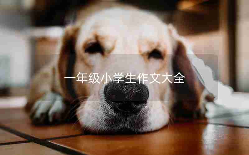 一年级小学生作文大全