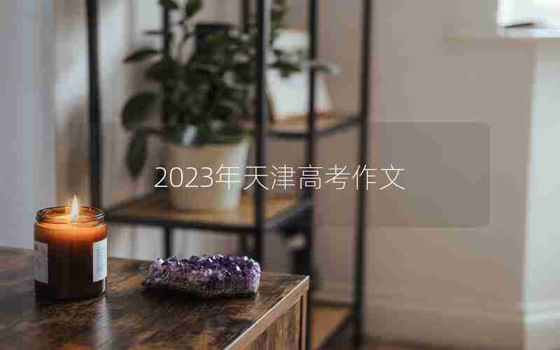 2023年天津高考作文