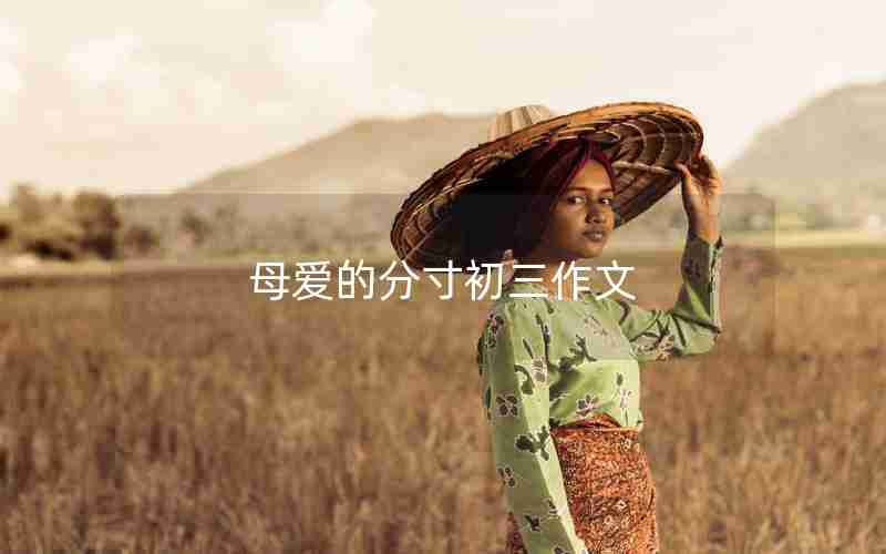 母爱的分寸初三作文