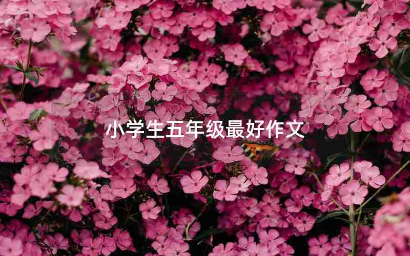 小学生五年级最好作文