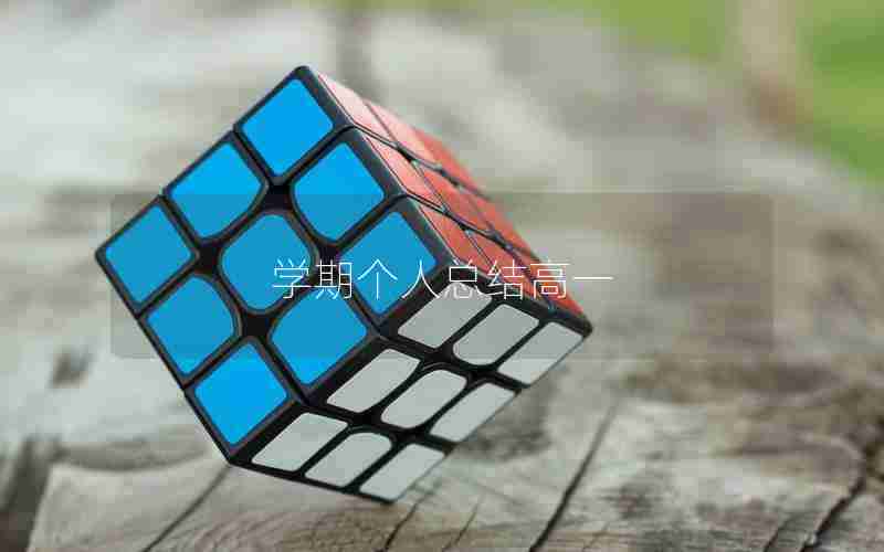 学期个人总结高一