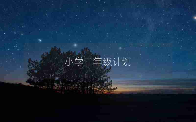 小学二年级计划