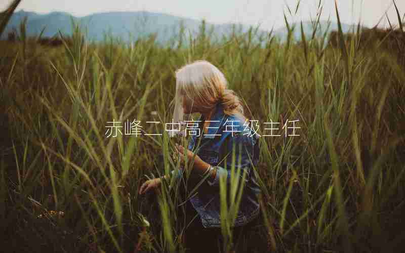 赤峰二中高三年级主任-赤峰二中教导主任