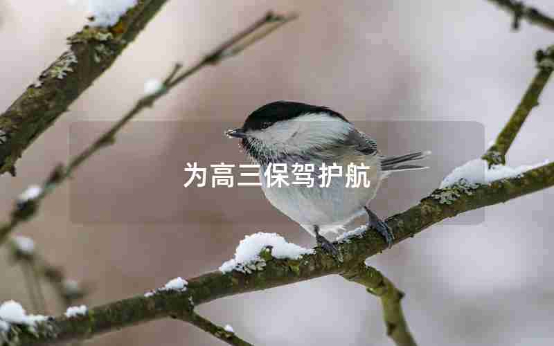 为高三保驾护航