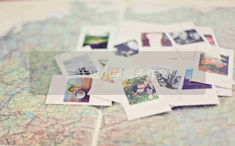 三年级小学同步作文