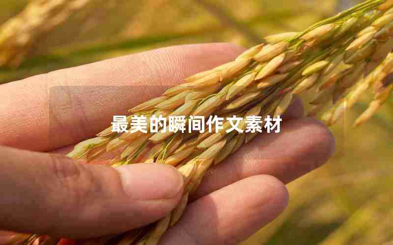 最美的瞬间作文素材