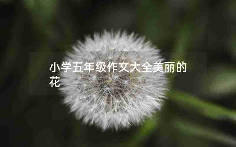 小学五年级作文大全美丽的花