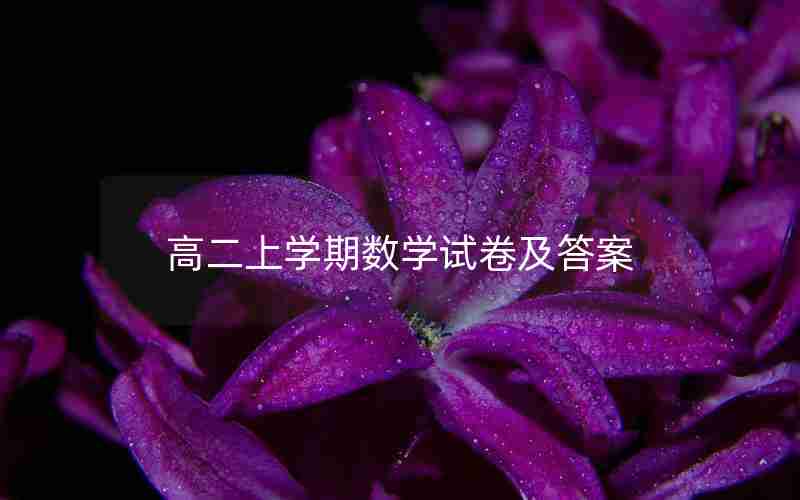 高二上学期数学试卷及答案