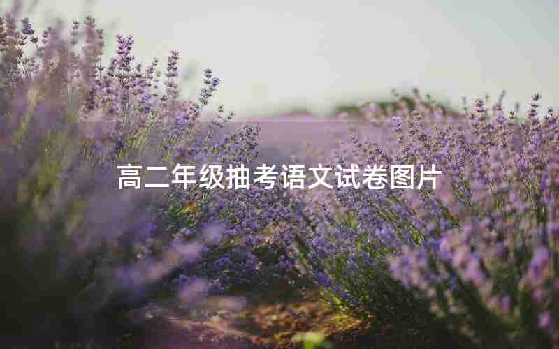 高二年级抽考语文试卷图片