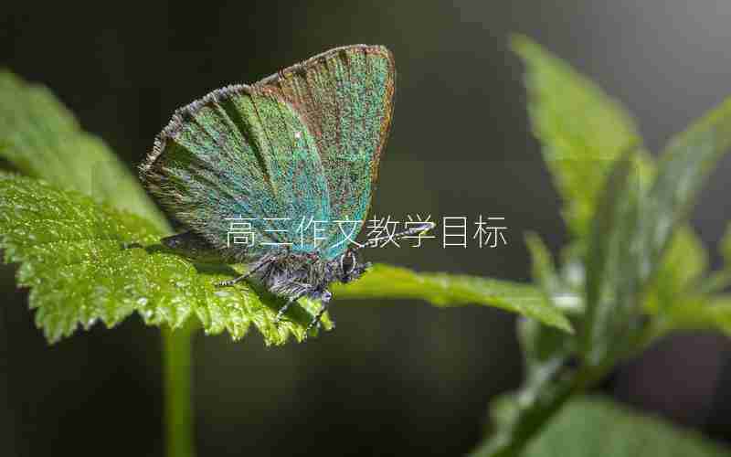 高三作文教学目标