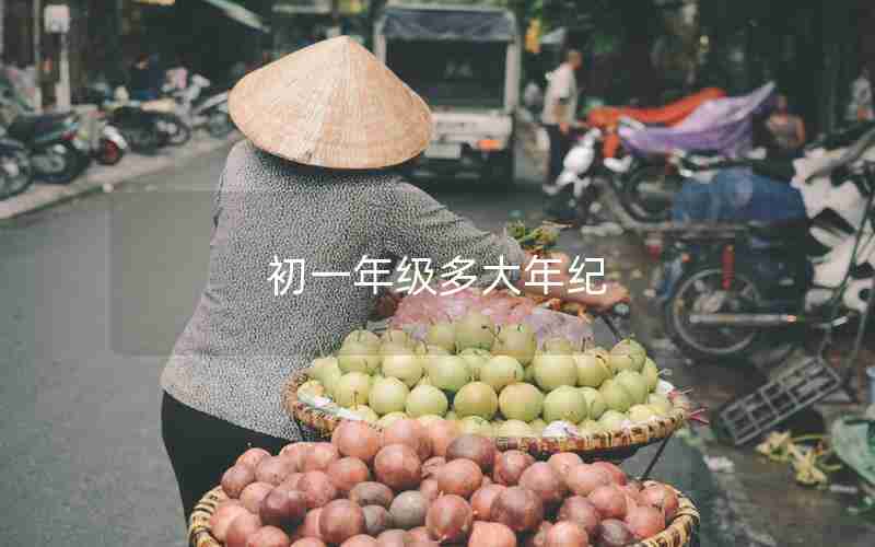初一年级多大年纪