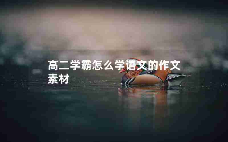 高二学霸怎么学语文的作文素材
