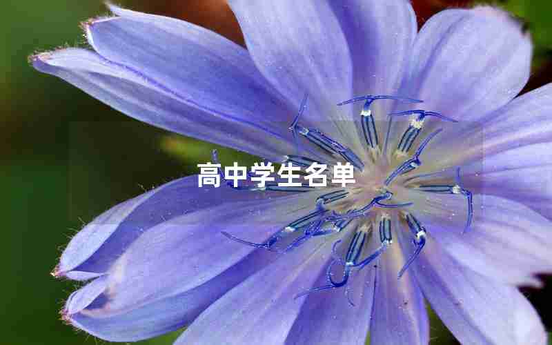 高中学生名单