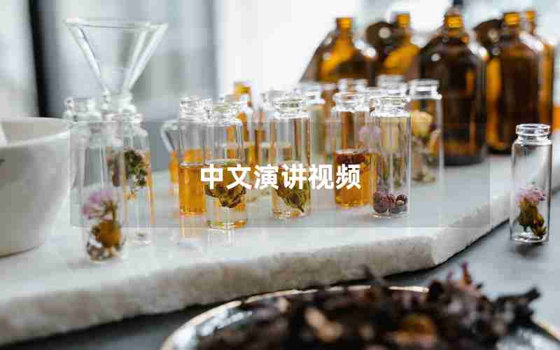 中文演讲视频