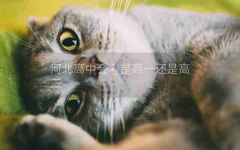 河北高中会考是高一还是高二