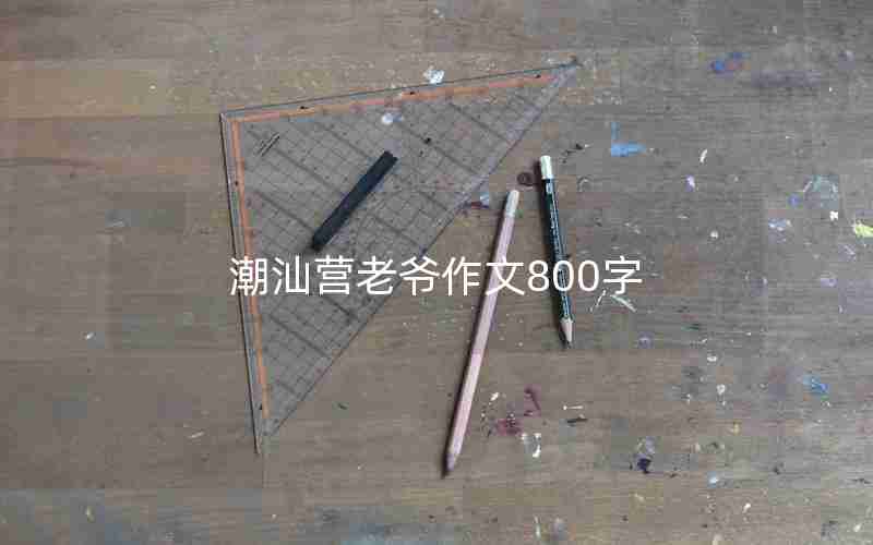 潮汕营老爷作文800字