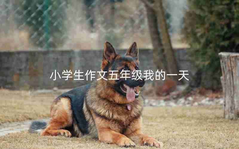 小学生作文五年级我的一天