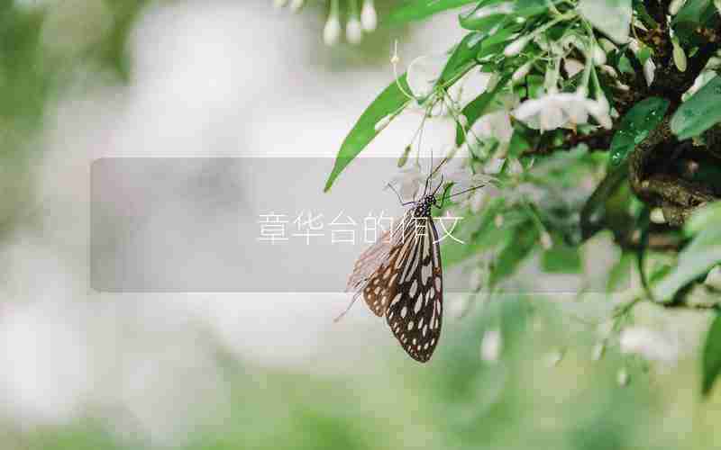 章华台的作文