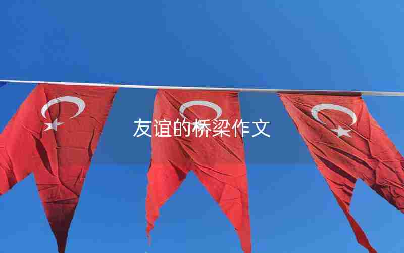 友谊的桥梁作文