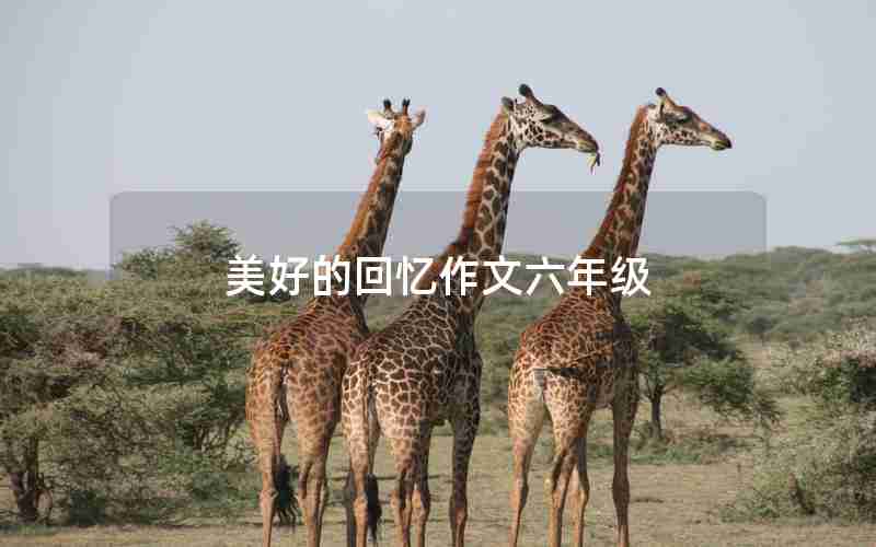 美好的回忆作文六年级