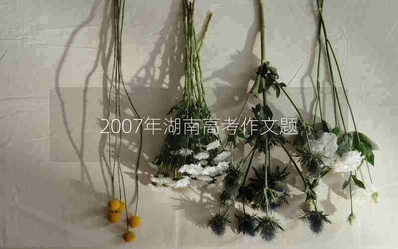 2007年湖南高考作文题