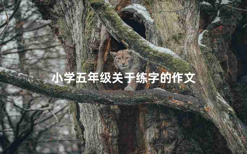 小学五年级关于练字的作文