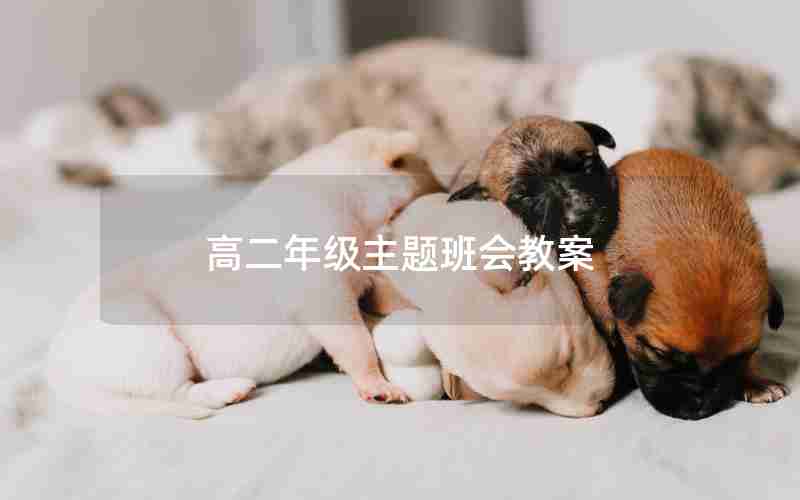 高二年级主题班会教案