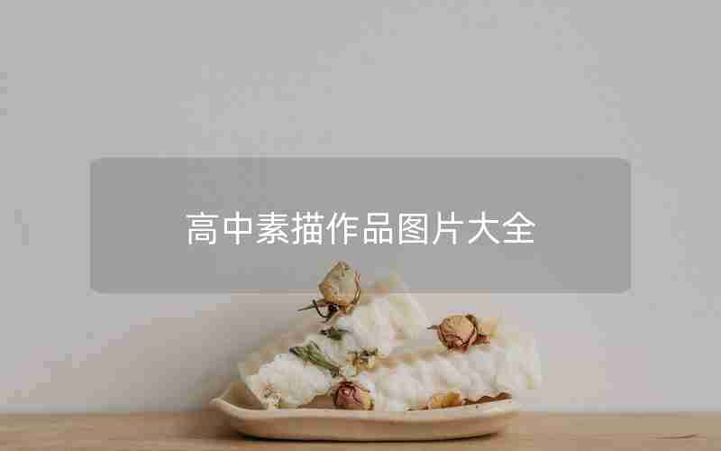 高中素描作品图片大全